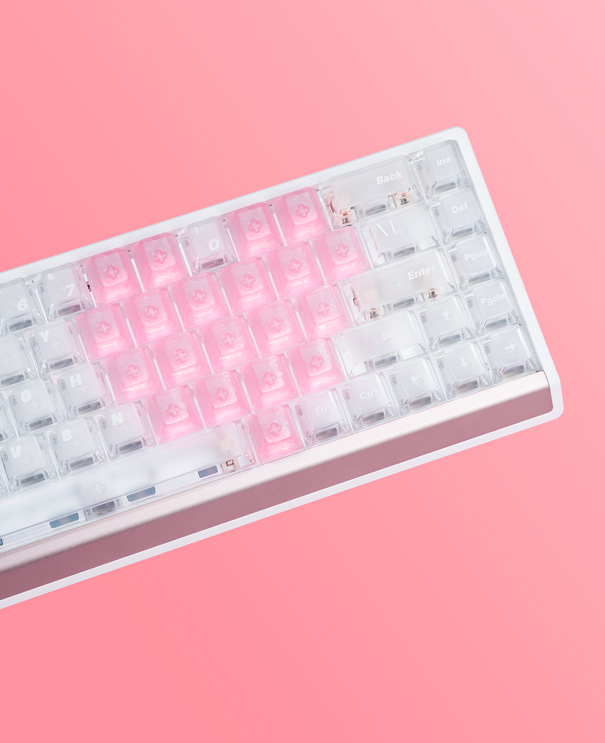 Product Photos