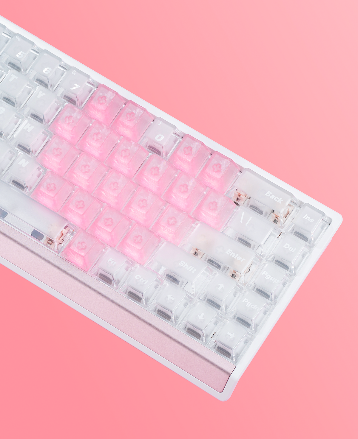 Product Photos