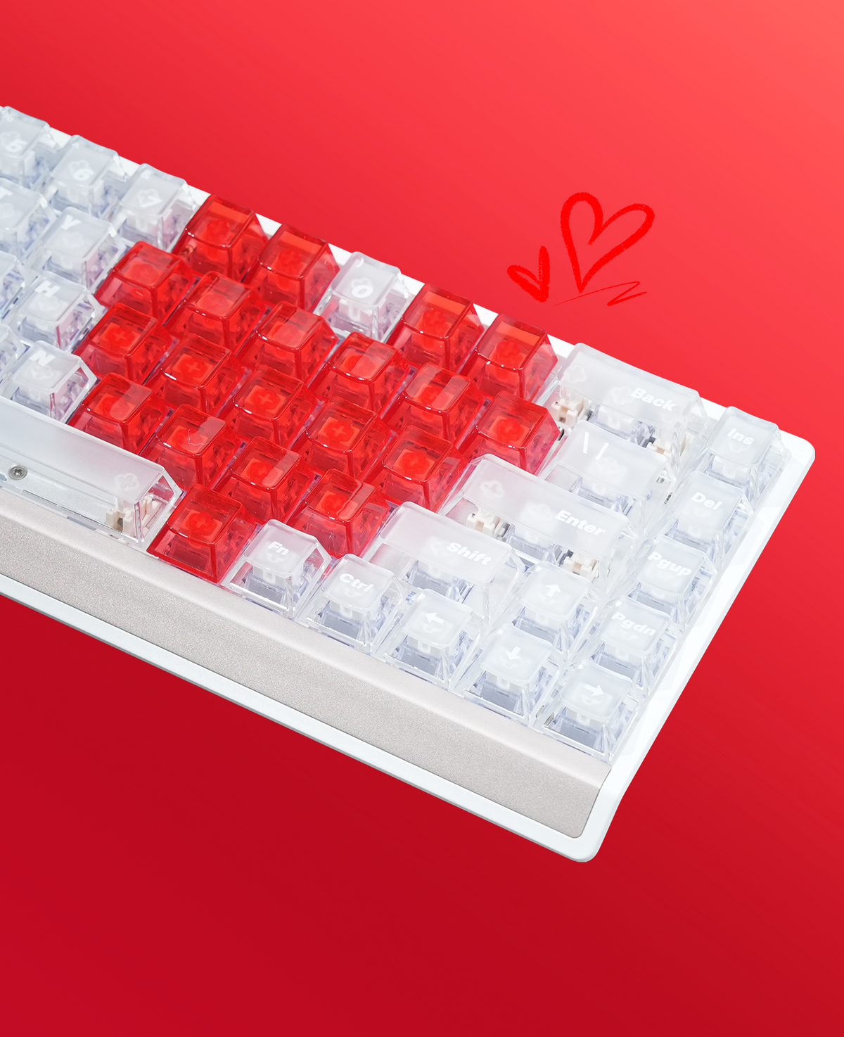 Product Photos