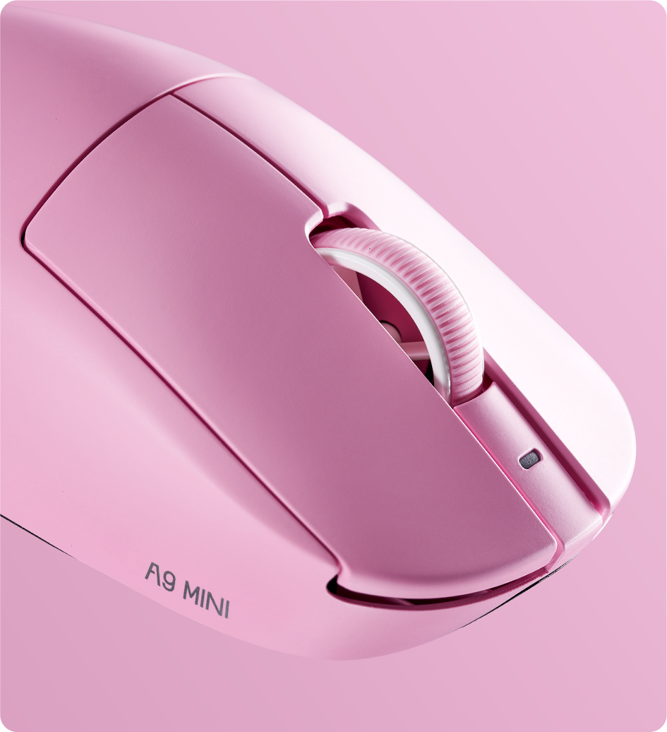 Product Photos