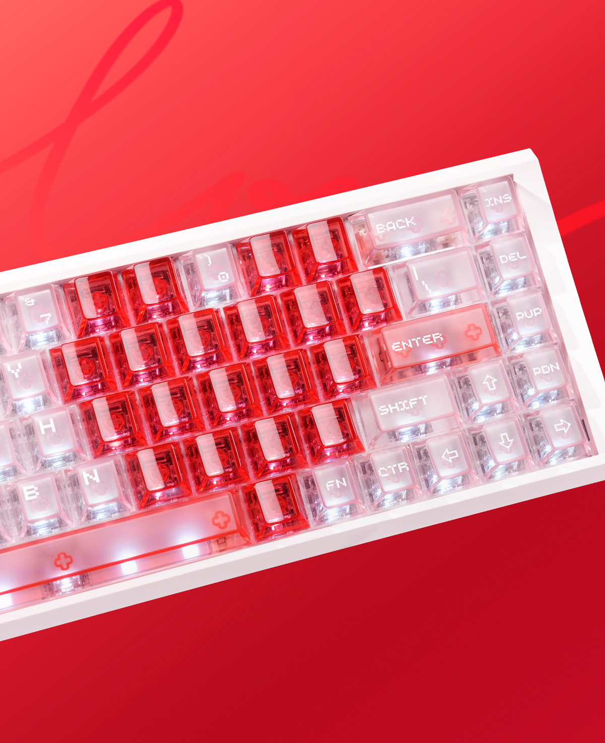 Product Photos