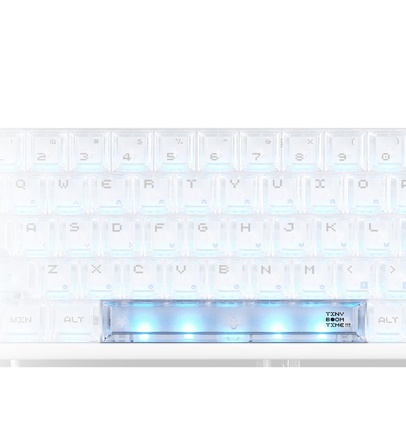 South-Facing RGB