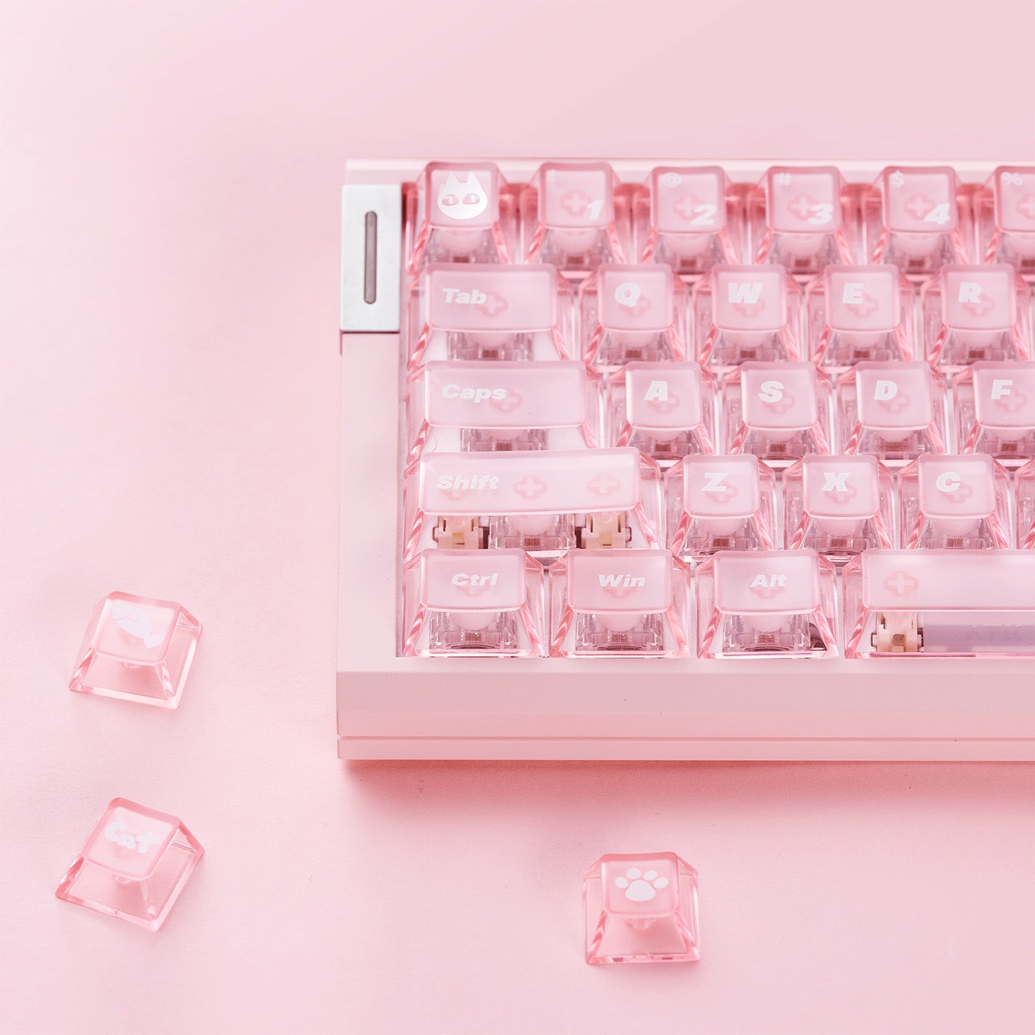 Pink mechanical keyboard with transparent cat-themed keycaps, including "Cat" and paw prints.