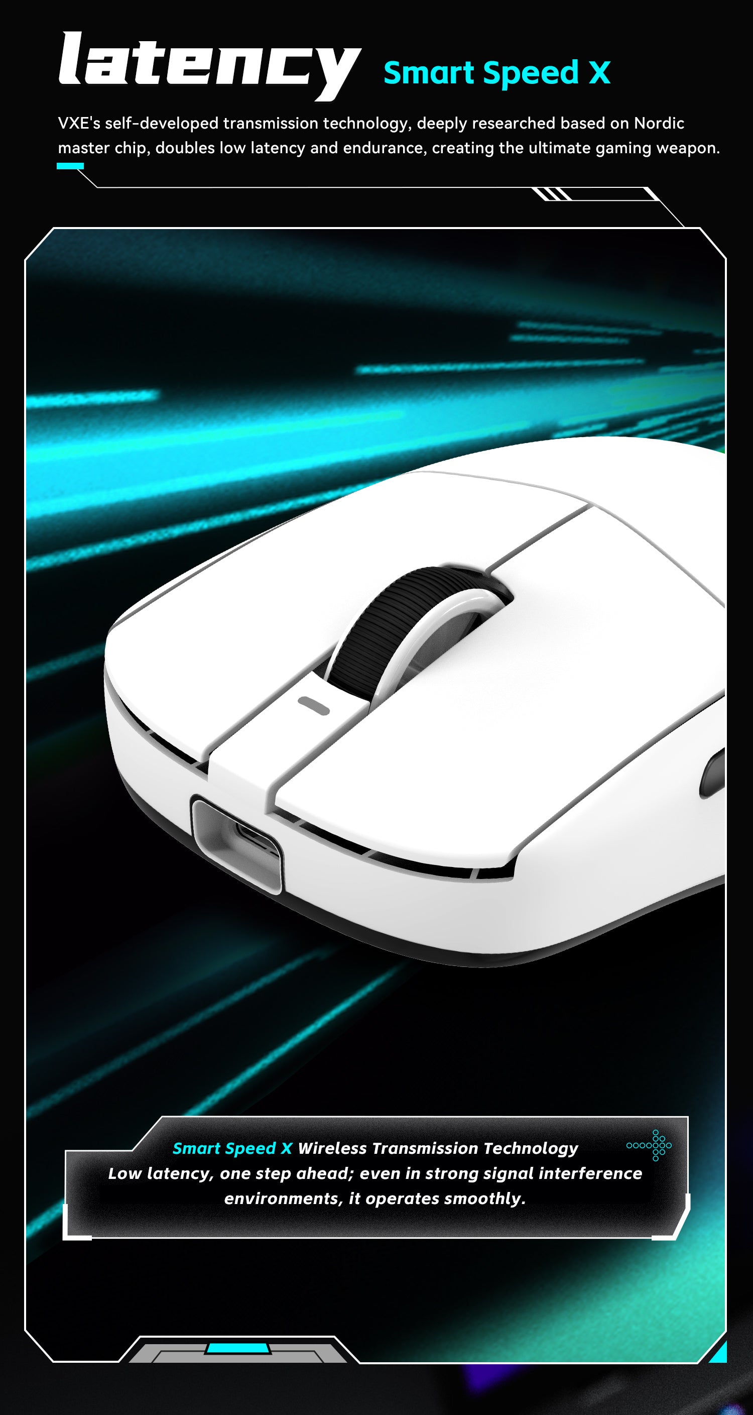 VXE Dragonfly R1 Series Wireless Mouse