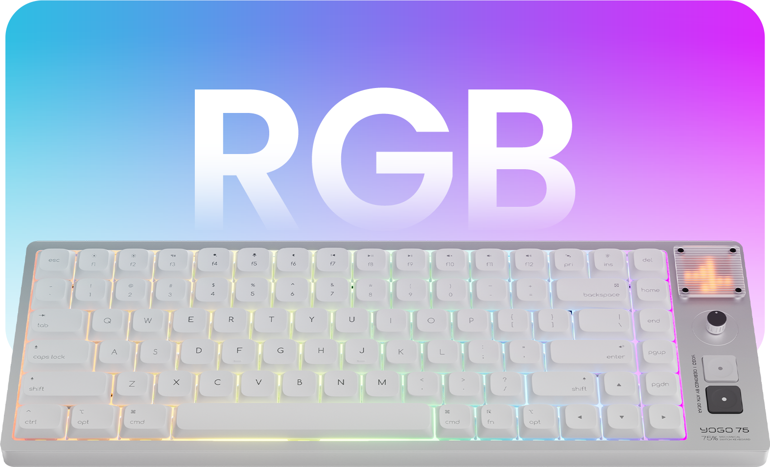 Fully Customizable RGB Lighting